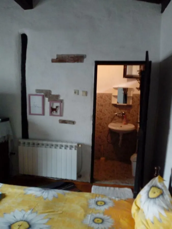 Guest house Srebren Rural House Hotel Osenovo
